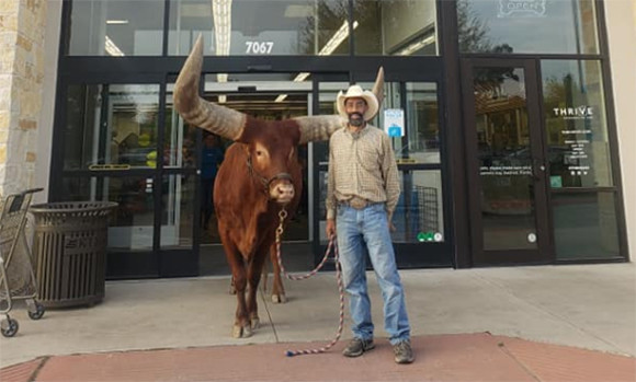 「すべての動物を歓迎します！」を掲げるペットショップに巨大なオス牛を連れて行った。その反応は？（アメリカ）