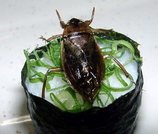 sushi_02