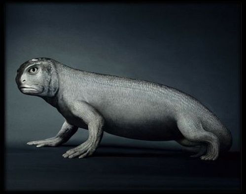 fish_03