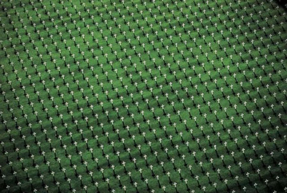 amazing_aerial_photos_640_04