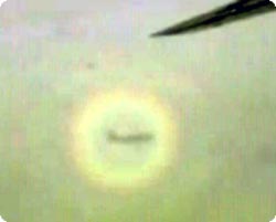 円形の虹が飛行機を包み込むようにランデブーする珍しい光景「ブロッケン現象」