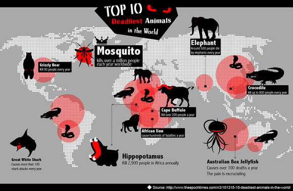 top-10-deadliest-animals-in-the-world_52ba865607db3