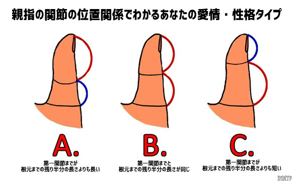 海外で流行ってる親指占い：親指の関節の位置でわかるあなたの愛情・性格タイプ
