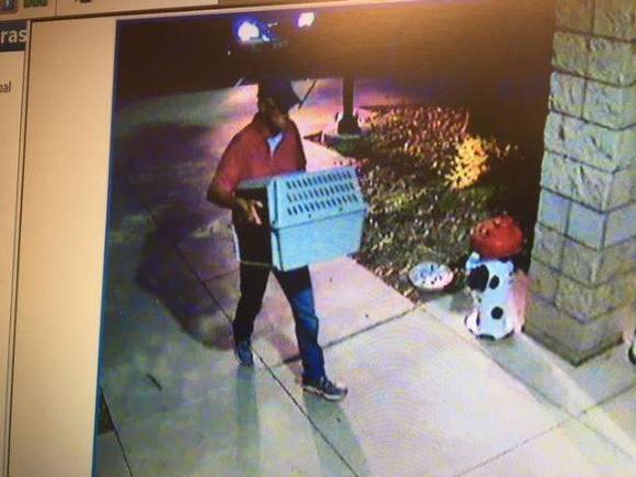 bob-1 [www.imagesplitter.net]