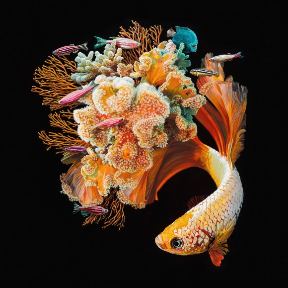 魚とサンゴを合体させたら未知なる美しさが芽生えたようだ。ハイパーリアルなキメラアート