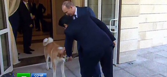 プーチン大統領、ソチの公邸で秋田犬「ゆめ」と一緒に安倍首相をお出迎え。「噛むから気をつけて」と首相に助言