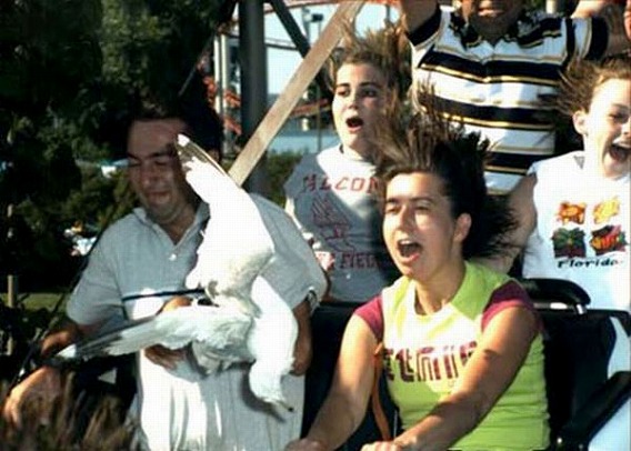 roller_coaster_39