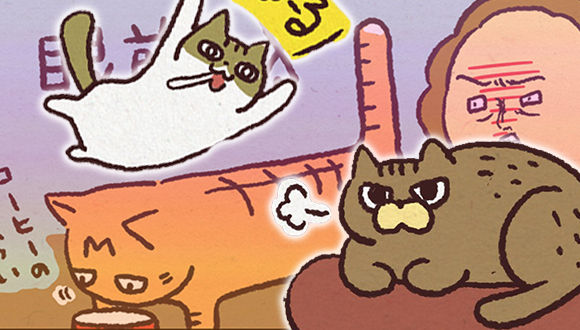 アレな生態系日常漫画「いぶかればいぶかろう」第18回：忙しい時に限って・・・猫飼いあるある