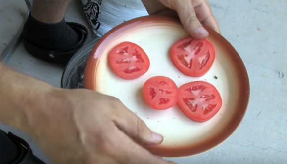何これちょっと試したい。トマトを栽培する最も簡単な方法、トマトと土があればいい。