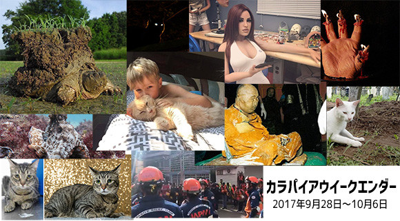 名称未設定-1
