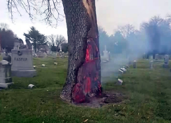 地獄へのゲートが開いた？落雷した墓地にある木が不思議な燃え方をして物議をかもす（アメリカ）