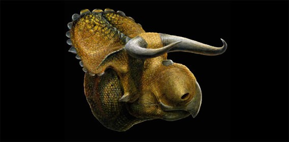 大きな鼻と長く曲がったツノを持つ新種の恐竜が発見される（米ユタ州）