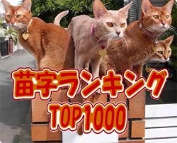 あなたの苗字ランキングTOP1000