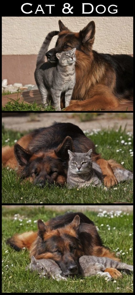 friendships_02_e