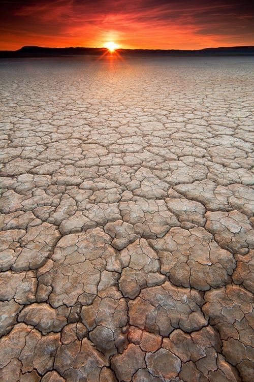 landscapes_05