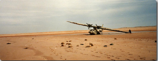 廃飛行機