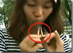 必見！愛知県民が手羽先を食べる時の凄技