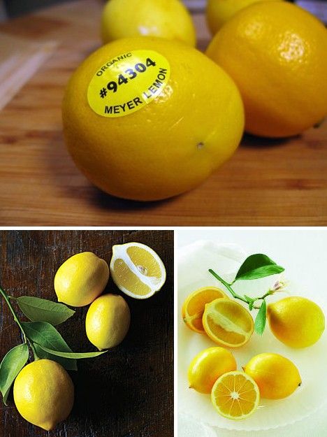 amazing_fruits_2