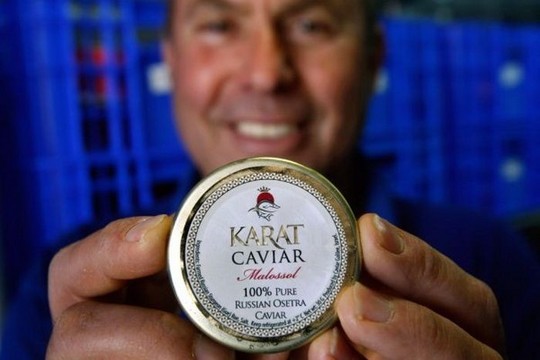1258610626_how_black_caviar_is_made_13