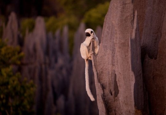 Madagascar_15