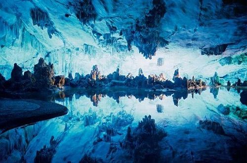 national_geographic_moments_13