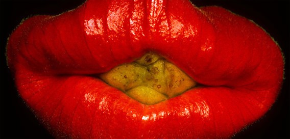 思わず吸い寄せられそうな真っ赤な唇、植物なのにセクシーな「ソアマウス・ブッシュ」