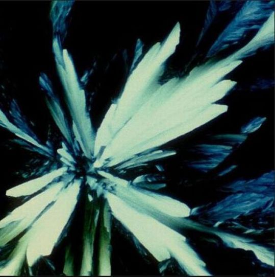 alcoholic_cocktails_under_microscope_16