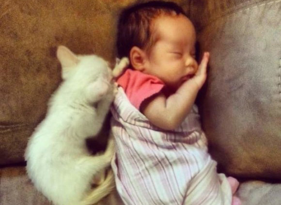 生れおちたその日から猫に慕われる赤ちゃんがいた。キャット・ウィスパラーと呼ばれる少女と猫の記録写真