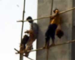 男性が女性より長生きできない理由。インド、ムンバイの場合