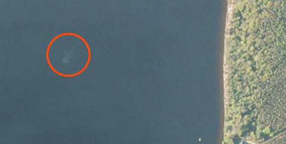 ネス湖にネッシー現る？地図アプリの衛星写真が捕えたネス湖を泳ぐ謎生物