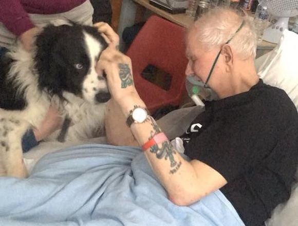 最期にもう一度おじいさんと愛犬を再会させてあげたい。看護スタッフが一丸となってその望みを叶えた（スコットランド）