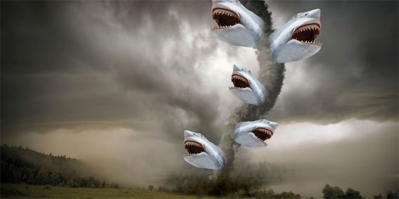 サメが竜巻となって人を襲う「Sharknado」が予想外のヒットにつき、第２弾がリリース。今度はサメがゴーストとなって人を襲う「Ghost Shark」