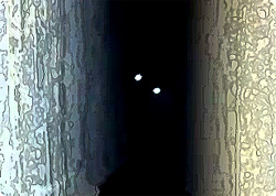 【動画】闇夜にどっきり。地獄からの猫「Kitten from Hell」