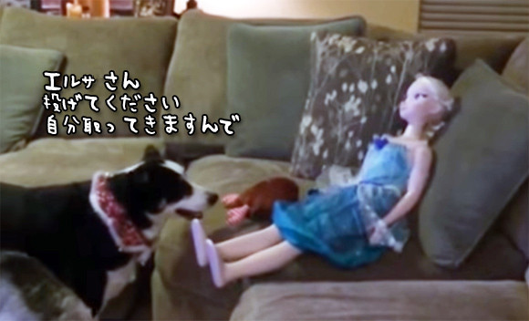 「投げてください、自分、拾ってきますんで」エルサ人形におもちゃを投げて欲しい犬のがんばり