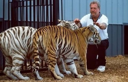most_unusual_pets_05