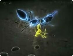 死闘、オオアリ VS アリジゴクの過酷なデスバトル