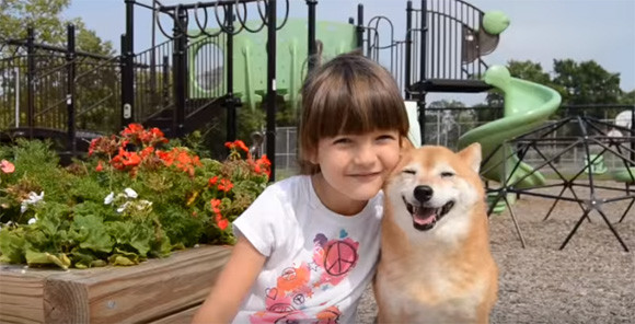 柴犬の笑顔がまぶしすぎた！7歳のアメリカ人少女と柴犬が公園で仲良く遊ぶよ