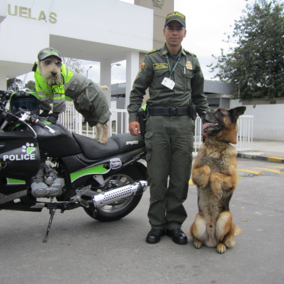 police7_e