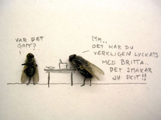 dead_flies_08