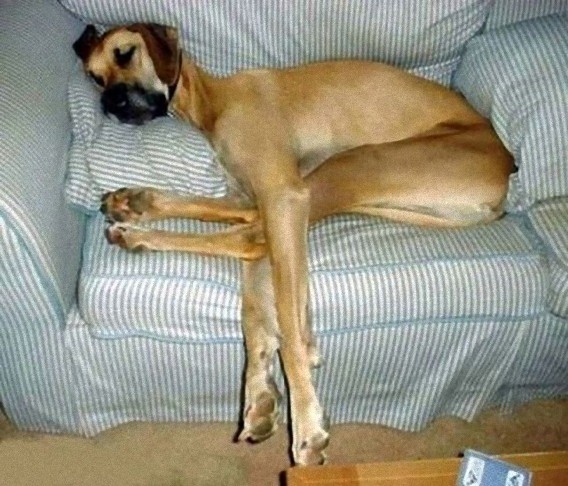 tired_640_33_e