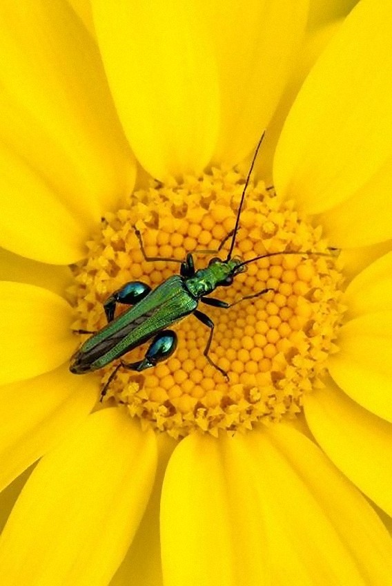 the_best_wildlife_photos_for_30_e