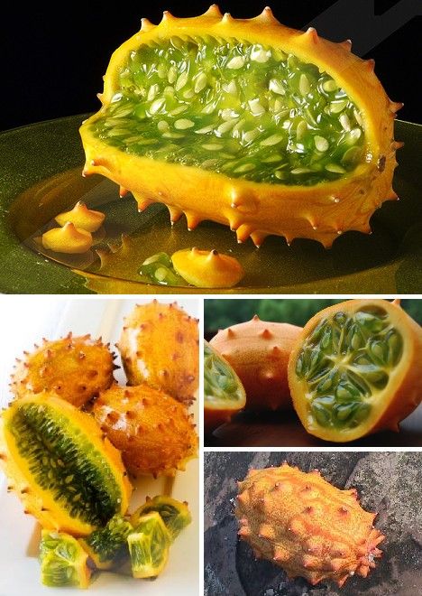 amazing_fruits_10