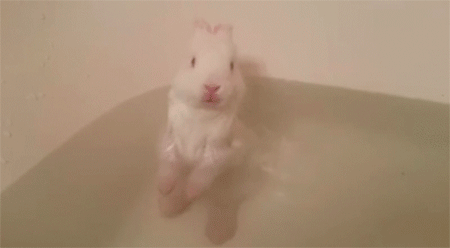ウサギの一人入浴シーンが思いのほか上手だった
