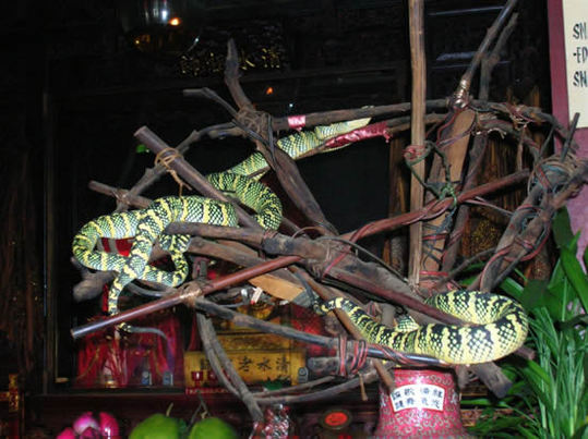 Snake-Temple-Penang5
