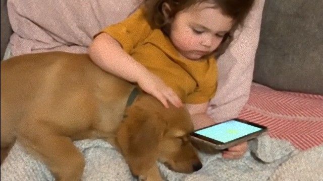 いつも一緒、これからも一緒。膝で眠る子犬をなでる少女に対する海外の反応