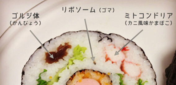 日本の科学者が作った寿司がすごい。博士の愛した細胞寿司