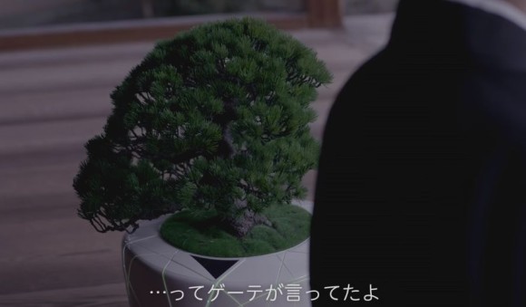 bonsai6_e