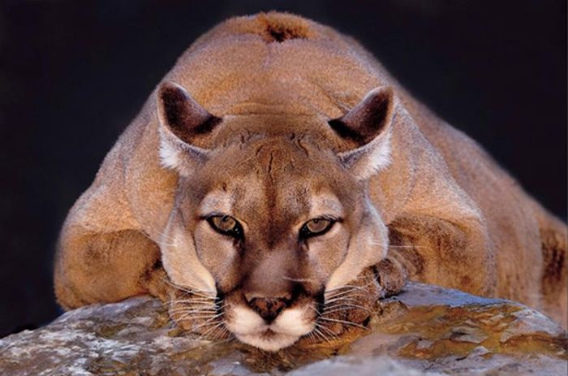 beautiful_award_winning_photos_23