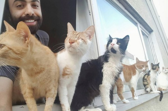 傷ついた野良猫たちを保護していった結果、9匹の猫を家族にしたトルコのピアニスト