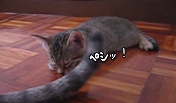 ペシペシすり～ん！熟練した母猫は尻尾を使いこなし子猫を眠りに落とす技を発動